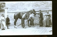 CHARTEVE ENVIRONS MARECHAL FERRANT 