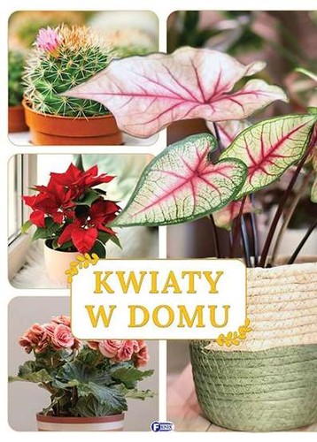 Kwiaty domu fenix - kwiaty, /