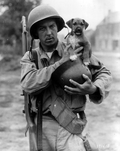 Ww2 dday airborne 506th - ww2,