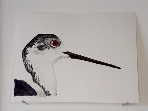 échasse blanche aquarelle - blanche,