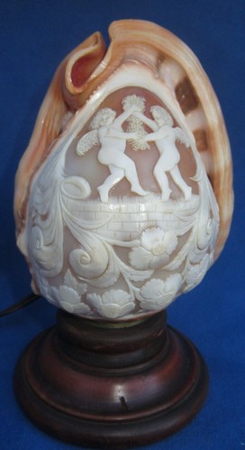Cameo shell lamp - shell, camÉe