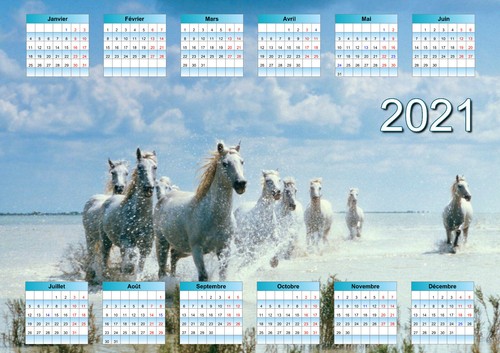 Calendrier 2026 cheval - 2026,