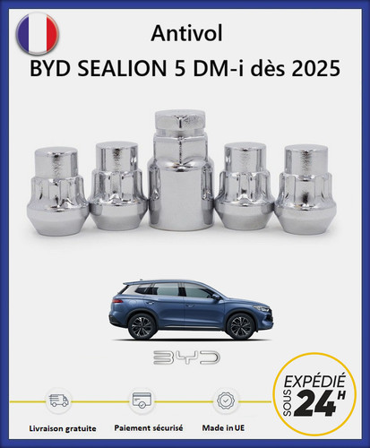 Ecrous antivol roues byd - antivol,