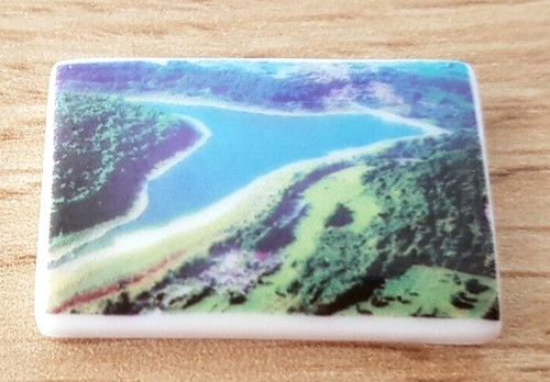 Fève lac mouche - fève, de