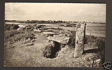 LOCMARIAQUER (56) Lot de 2 CP diff. : VILLAS & PIERRES PLATES + TERRASSE au PORT