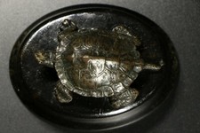 Antoine-Louis Barye TORTUE sans terrasse, réduction, Unique Chef-modèle Bronze