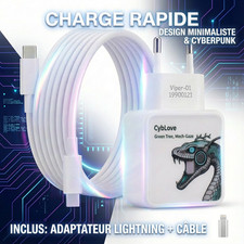 Chargeur Rapide Secteur Mural