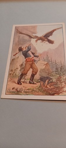 Chromo chasse l aigle - chasse,