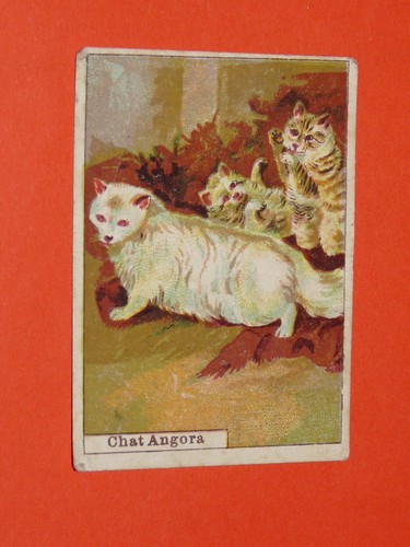 Chromo 1900 1925 - 1900-1925, chocolat