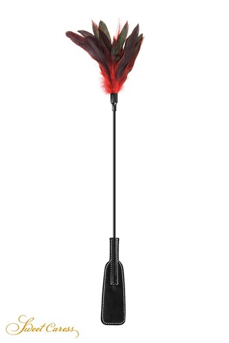 Tapette plumes rouges et - rouges,