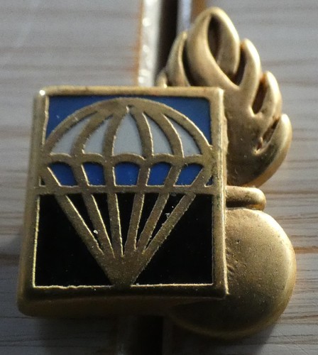 Petit pin militaire arme - pin's,