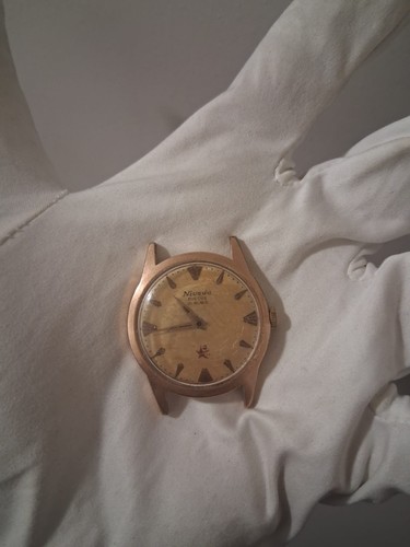 Nivada discus très - -, rare