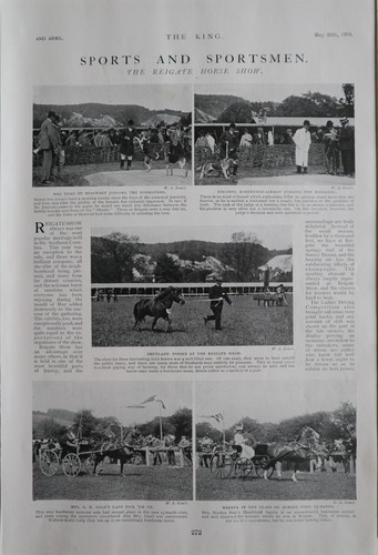 1904 imprimé reigate cheval - imprimé,