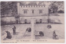 Carte Postale Ancienne CPA Suisse - Berne - La Fosse Aux Ours
