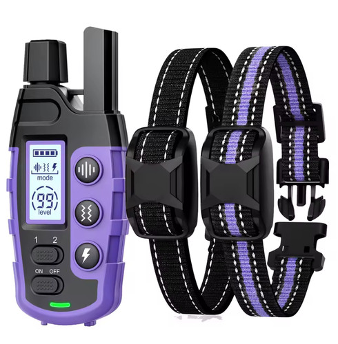 Colliers dressage chien - 2,