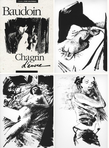Baudoin portfolio chagrin - baudoin,