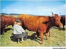 CAR-AAX-P3-15-0168 - en parcourant l 'Auvergne - traite des vaches sur les pla