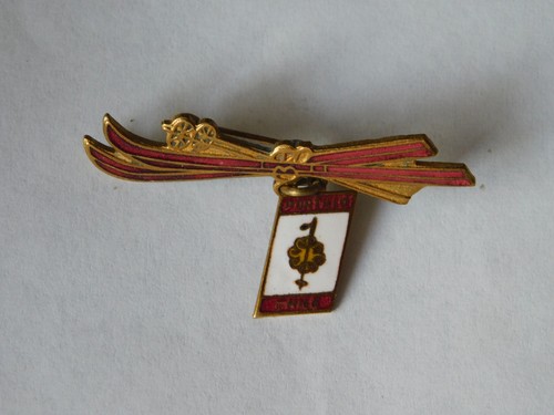 Insigne station ski - insigne,