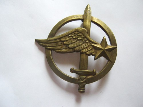Insigne beret des commandos - insigne,