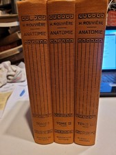  ANATOMIE HUMAINE Descriptive