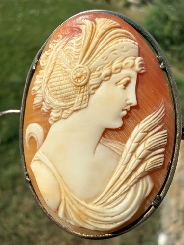 Camée coquille déesse - coquille,