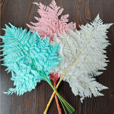 Fougères naturelles colorées décoratives DIY décoration maison intérieur 10 pcs