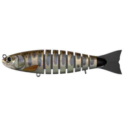 Biwaa trout 5 - s, 6.5"