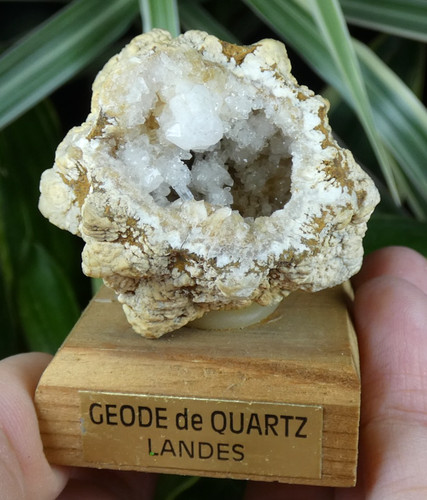 Géode quartz landes 4x4cm - géode,