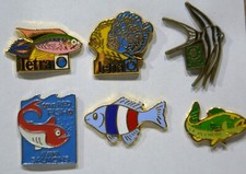 9 pin's poisson fish aquariophilie tetra