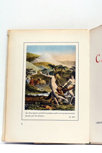 Voltaire candide - voltaire,