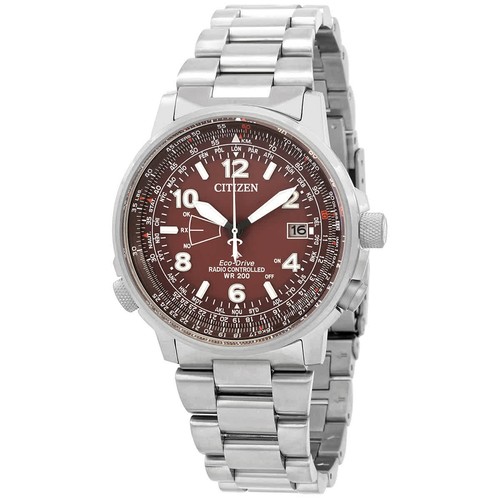 Citizen perpetual world - perpetual,