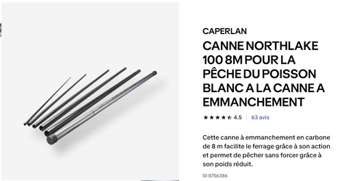 Canne pêche coup en - canne,