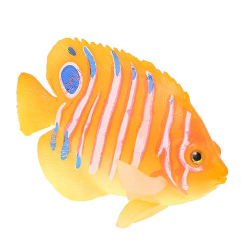 Simulation angelfish aquarium - simulation,