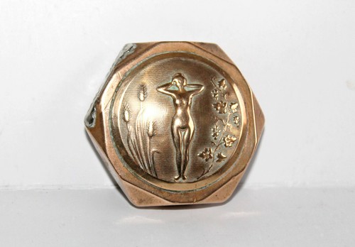 Briquet poilu laiton - en,