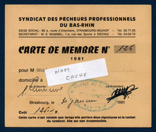 - FRANCE 1981 Carte Pècheur