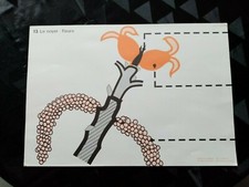 ancien croquis de sciences:le