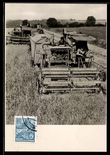 Carte postale maximale ans - carte,