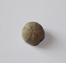 Oursin fossile, Hemiaster