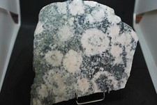 Diorite orbiculaire rose - diorite,