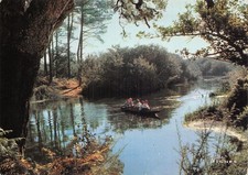 40 DAX VISAGE DES LANDES