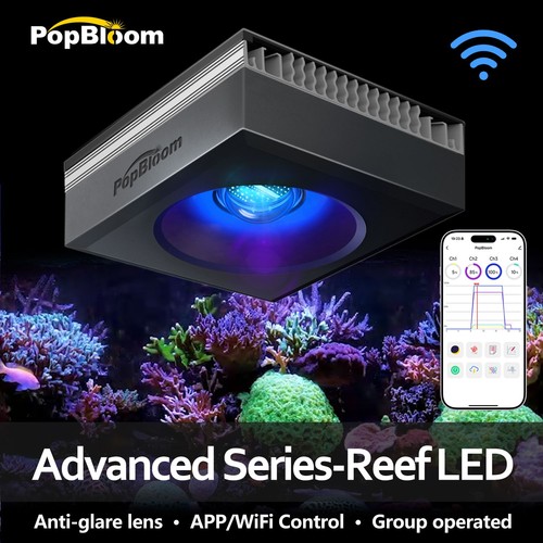 Popbloom 90w 120w 180w led - 120w,