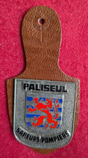 insigne de