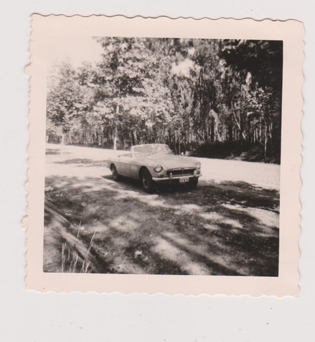Snapshot argentique voiture