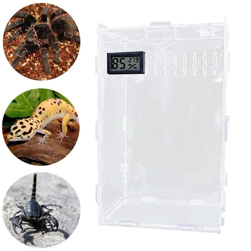 Terrarium acrylique pour - terrarium,