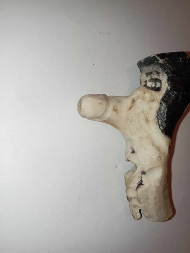 Pommeau canne cerf corne - cerf,