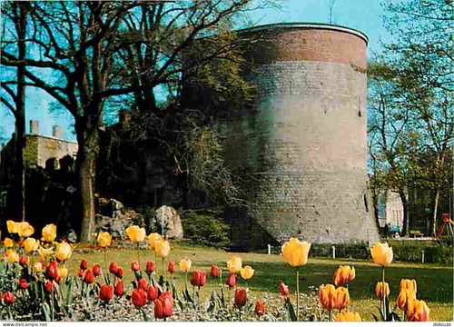 Carte postale - 59,