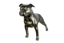 Staffordshire bull terrier - staffordshire,