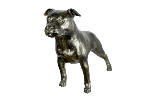 Staffordshire bull terrier - staffordshire,