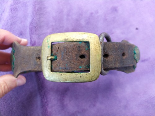 Collier chien troupeaux - chien, de