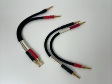 Cable Jumpers Haut Parleur